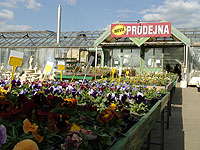 Klikn�te pro zv�t�en�