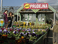 Klikn�te pro zv�t�en�